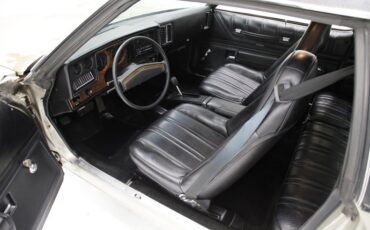 Unknown-Monte-carlo-1974-Silver-Taupe-Metalli-Black-33
