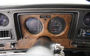 Unknown-Monte-carlo-1974-Silver-Taupe-Metalli-Black-35