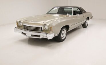 Unknown-Monte-carlo-1974-Silver-Taupe-Metalli-Black-8