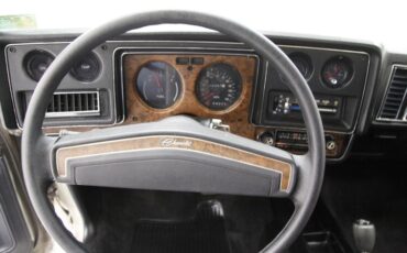 Unknown-Monte-carlo-1974-Silver-Taupe-Metalli-Black-9