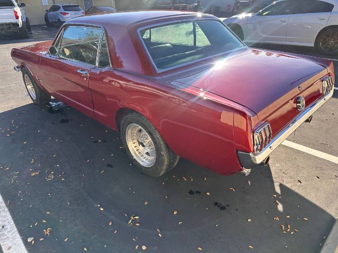Unknown-Mustang-1964-3