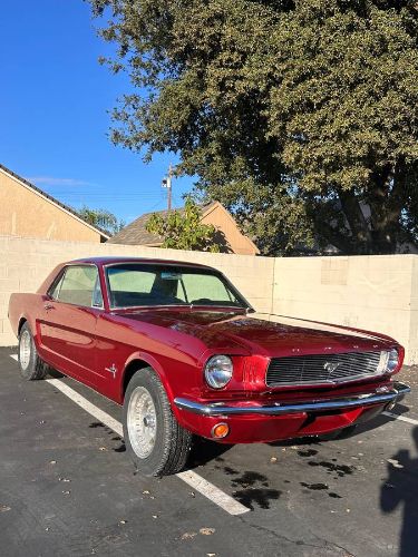 Unknown-Mustang-1964-5