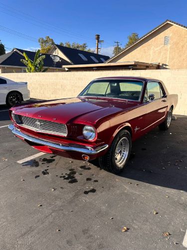 Unknown-Mustang-1964
