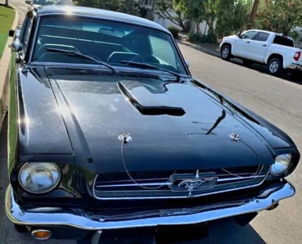 Unknown-Mustang-1964-Black-2