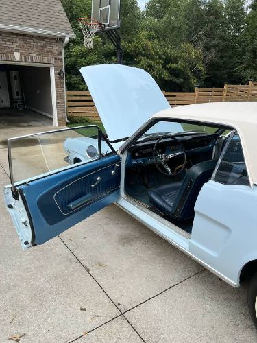Unknown-Mustang-1964-Blue-12
