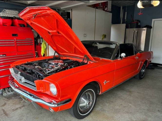 Unknown-Mustang-1964-Orange-Black-1