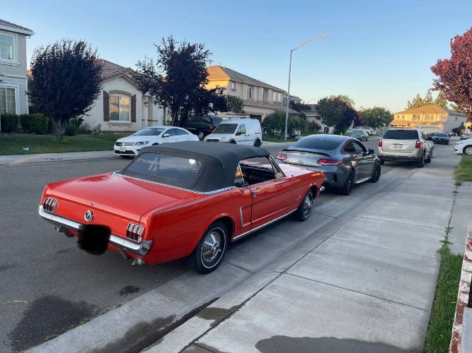 Unknown-Mustang-1964-Orange-Black-3