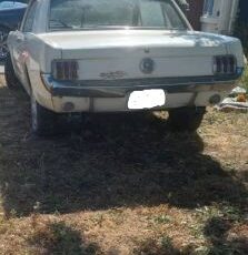 Unknown-Mustang-1964-White-Black-1