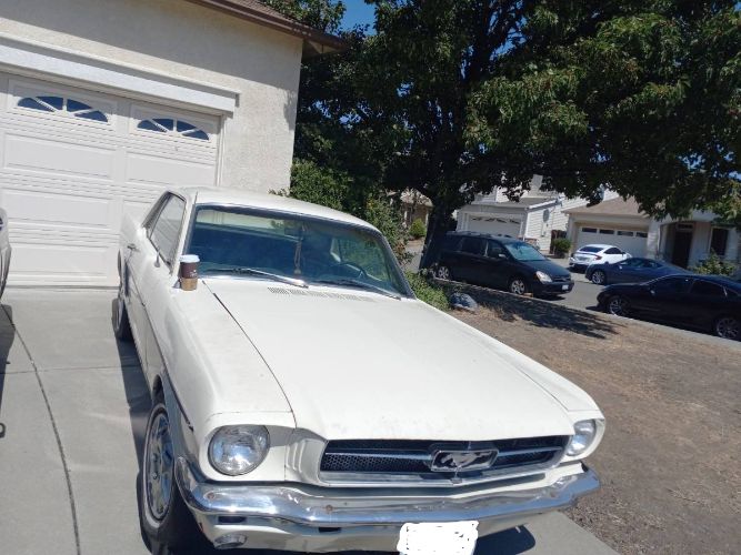 Unknown-Mustang-1964-White-Black-2