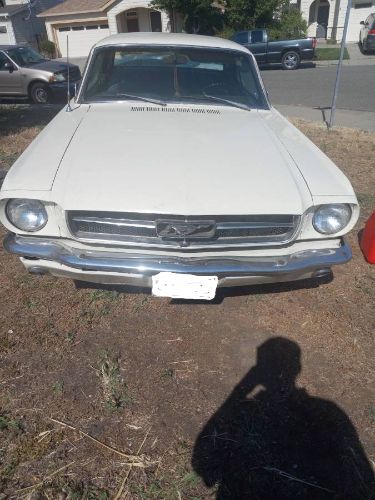 Unknown-Mustang-1964-White-Black-3
