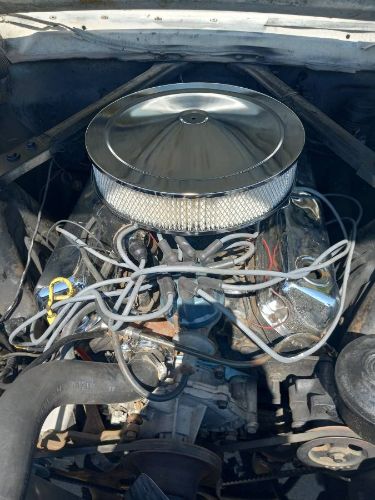 Unknown-Mustang-1964-White-Black-4
