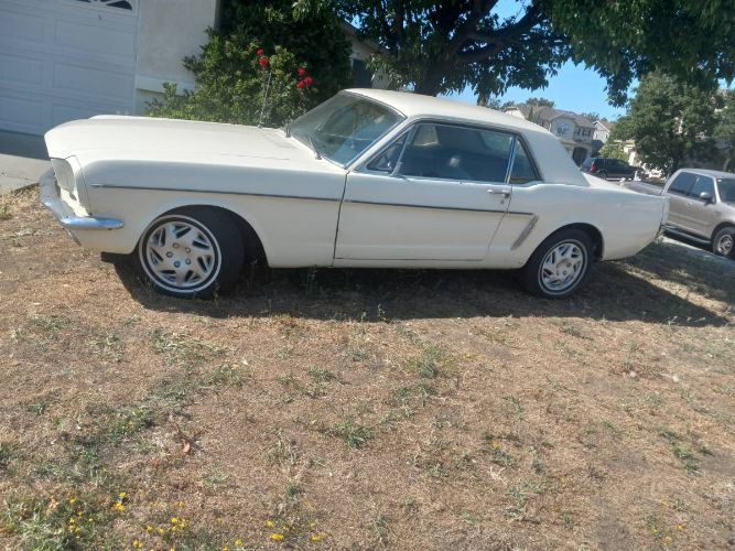 Unknown-Mustang-1964-White-Black
