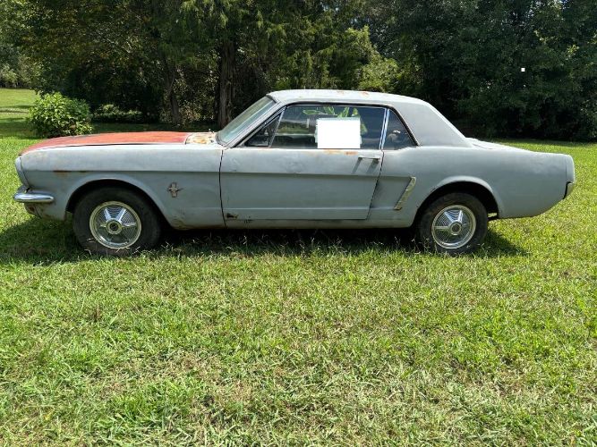 Unknown-Mustang-1964