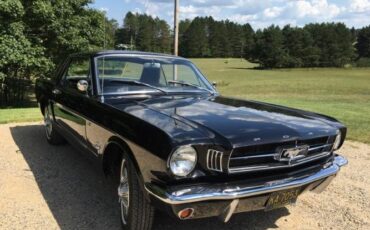 Unknown-Mustang-1965-1