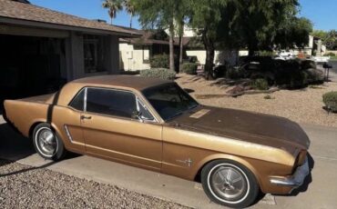 Unknown-Mustang-1965-1