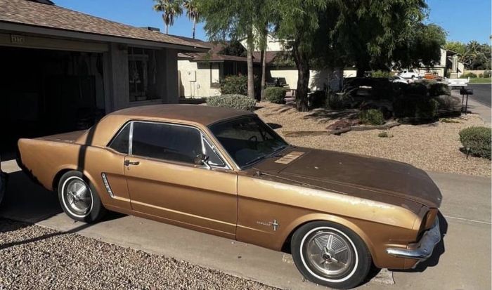 Unknown-Mustang-1965-1