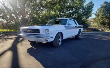 Unknown-Mustang-1965-1