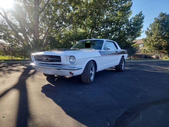 Unknown-Mustang-1965-1