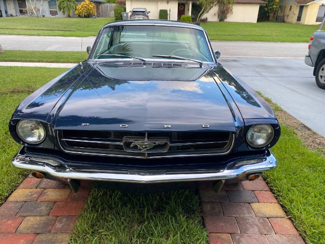 Unknown-Mustang-1965-10