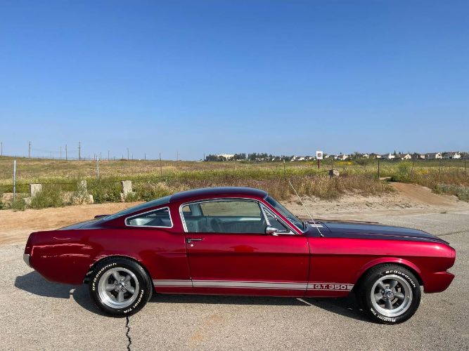 Unknown-Mustang-1965-11