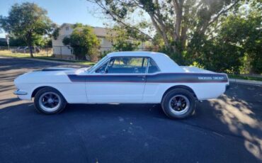 Unknown-Mustang-1965-12