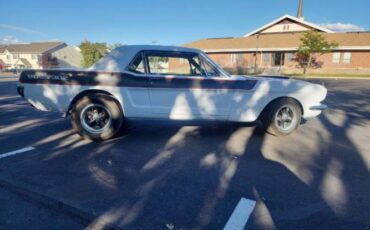Unknown-Mustang-1965-13