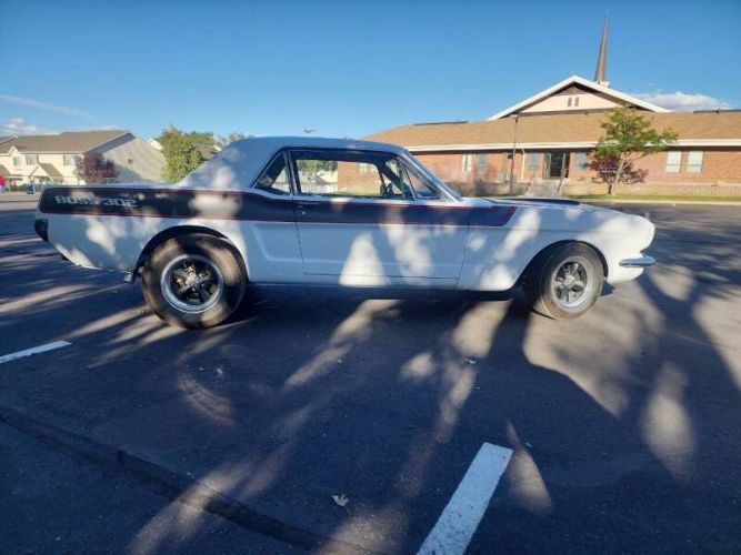 Unknown-Mustang-1965-13