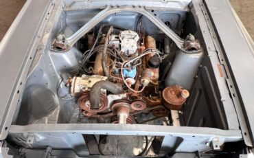 Unknown-Mustang-1965-15