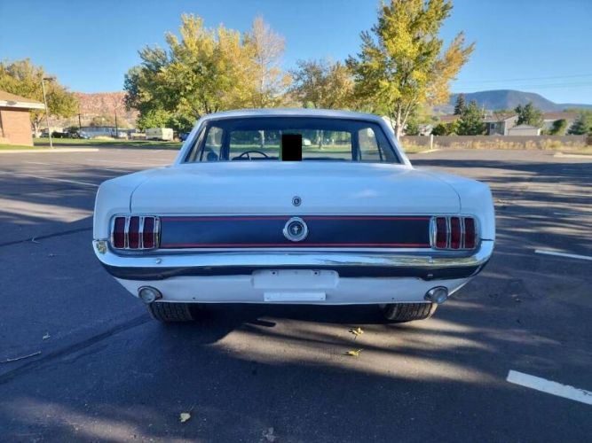 Unknown-Mustang-1965-15