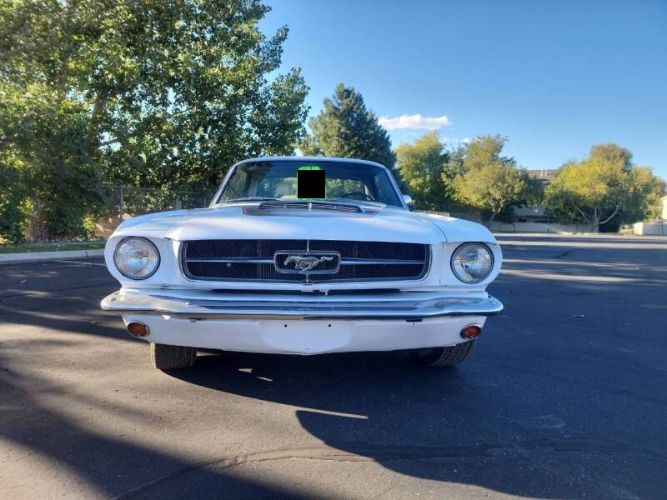 Unknown-Mustang-1965-17