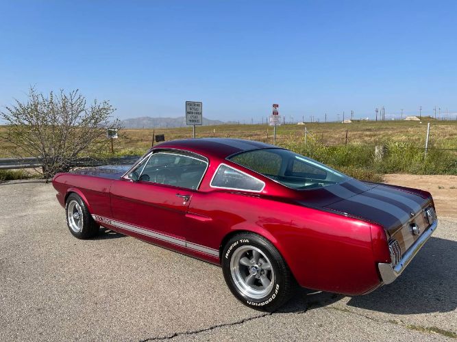 Unknown-Mustang-1965-17