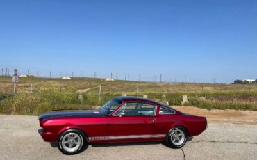 Unknown-Mustang-1965-18