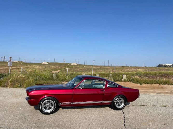 Unknown-Mustang-1965-18