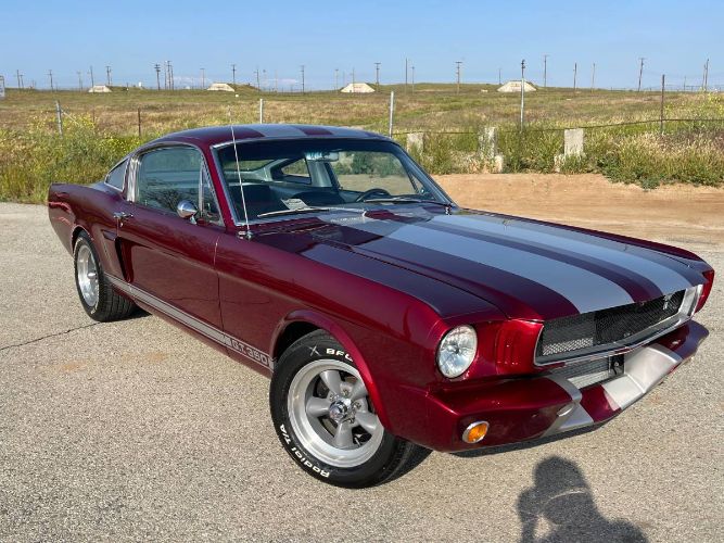 Unknown-Mustang-1965-19
