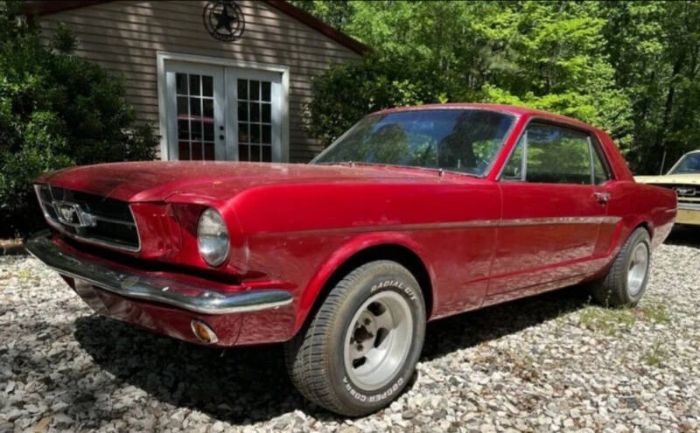 Unknown-Mustang-1965-2