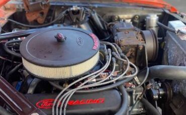 Unknown-Mustang-1965-2