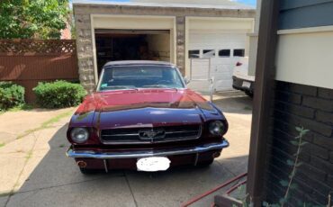 Unknown-Mustang-1965-2
