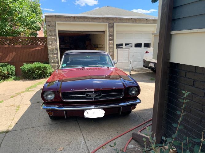 Unknown-Mustang-1965-2