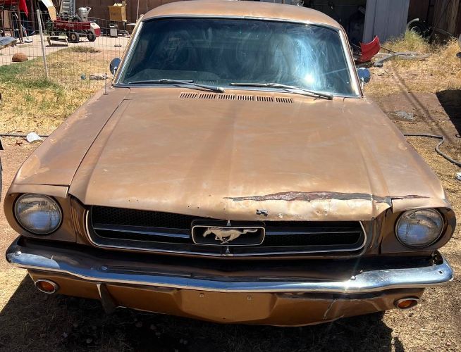 Unknown-Mustang-1965-2
