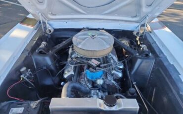 Unknown-Mustang-1965-2