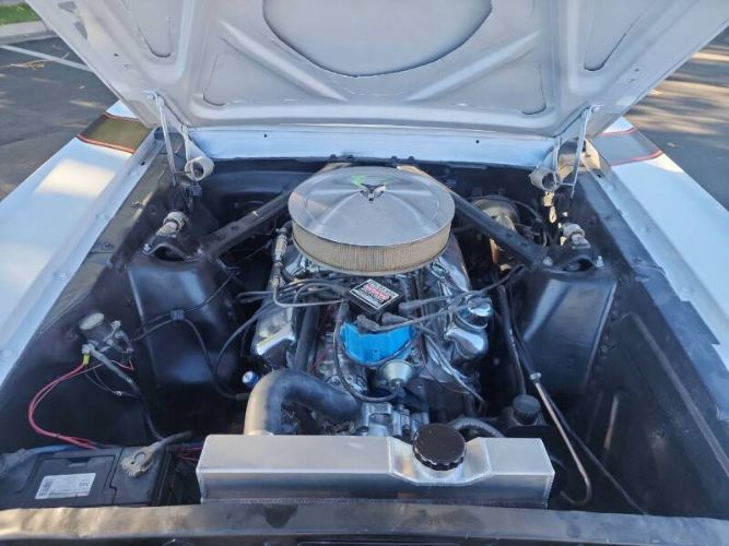 Unknown-Mustang-1965-2