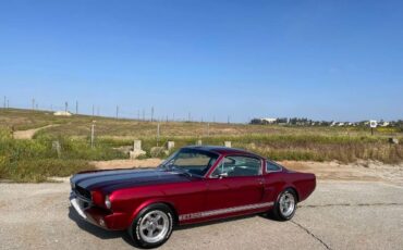 Unknown-Mustang-1965-21