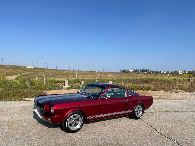 Unknown-Mustang-1965-21