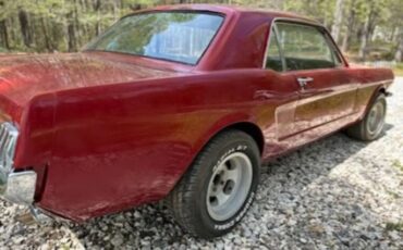 Unknown-Mustang-1965-3