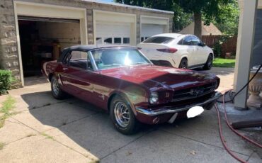Unknown-Mustang-1965-3