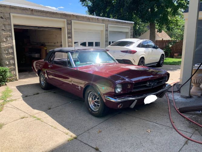 Unknown-Mustang-1965-3