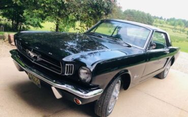 Unknown-Mustang-1965-3