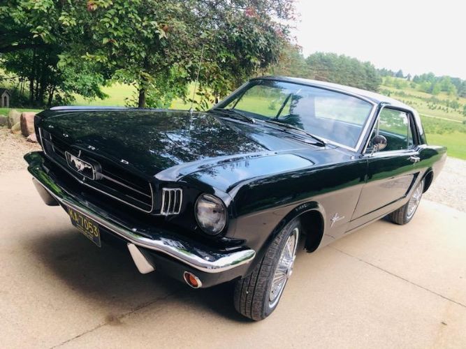 Unknown-Mustang-1965-3
