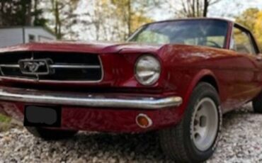 Unknown-Mustang-1965-4