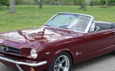 Unknown-Mustang-1965-4